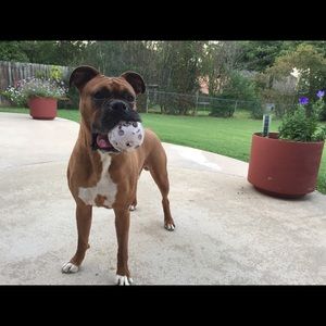 Meet your Posher, Eric